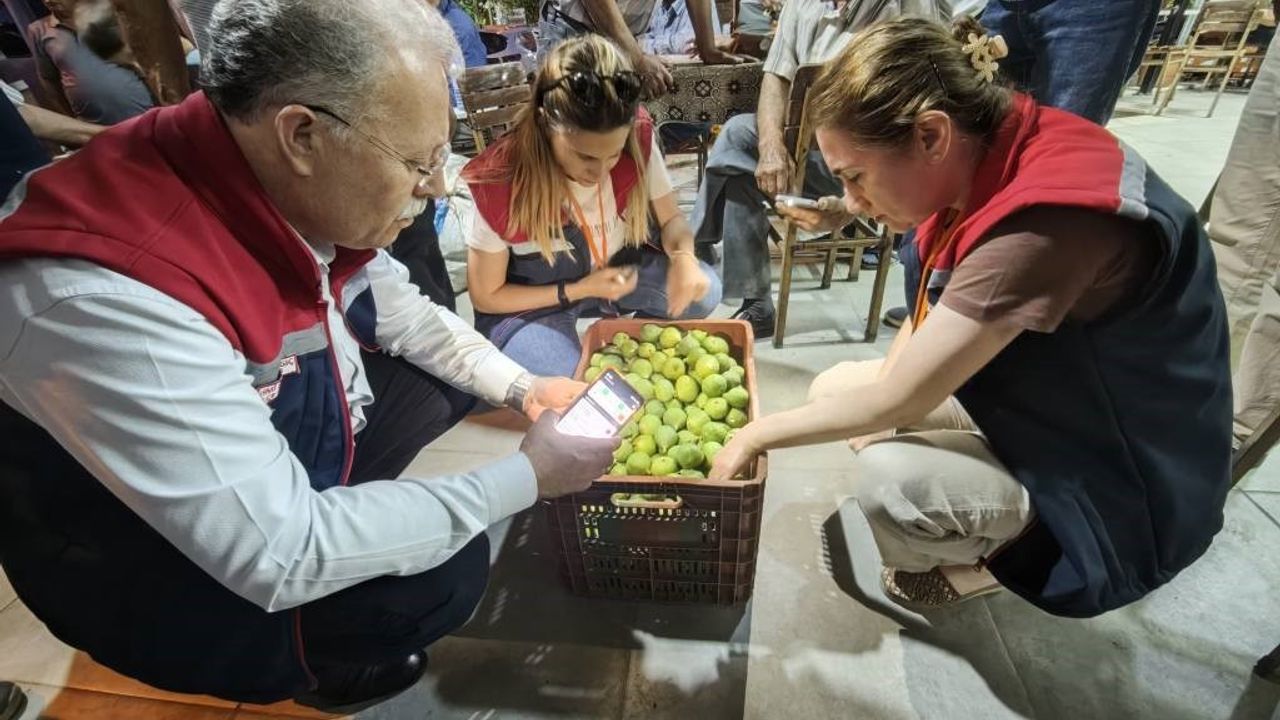 Üreticiye kaliteli ilek uyarısı