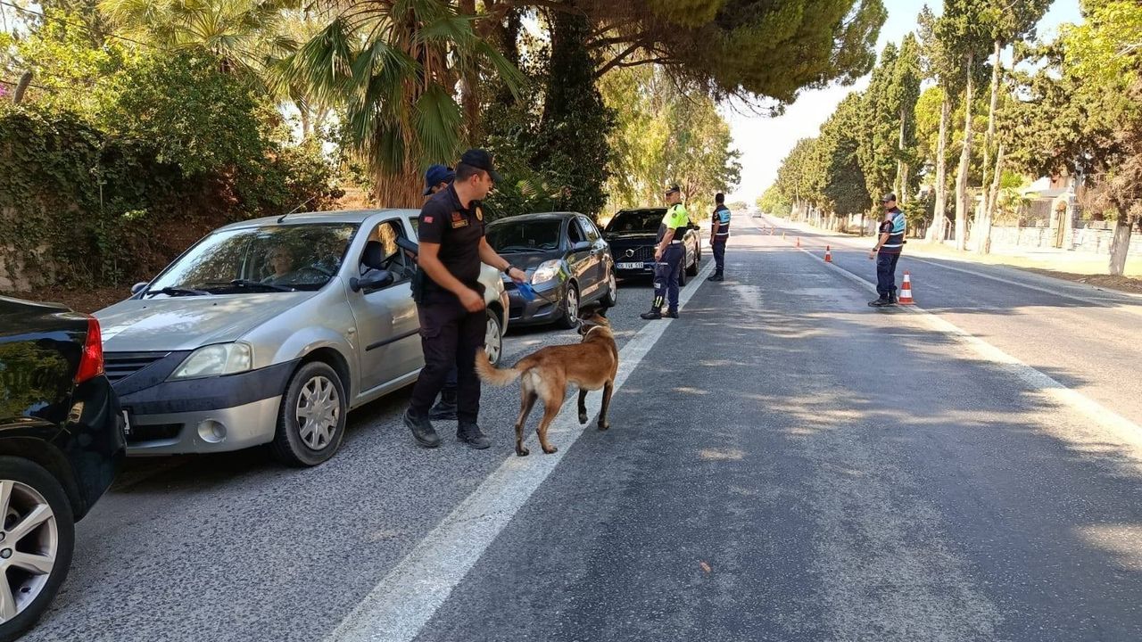 Jandarma festivalin güvenliğini sağlıyor