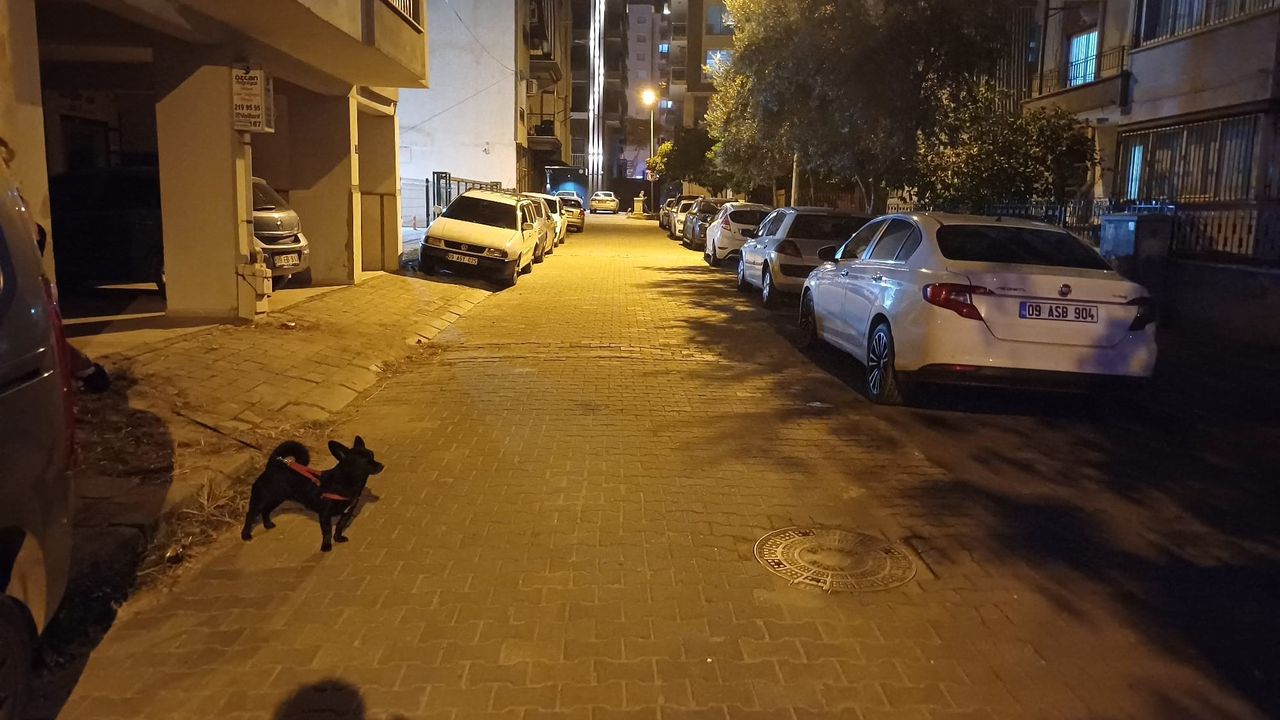 Balıkesir'deki deprem Aydın'da da hissedildi