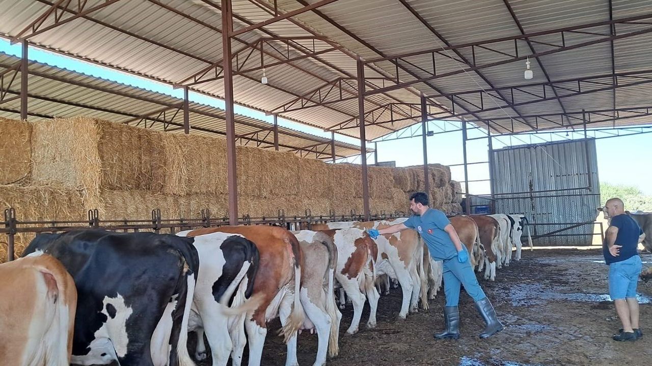 Nazilli'de 13 mahalle karantinaya alındı