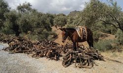 Aydın'da geleneksel kış hazırlıkları başladı