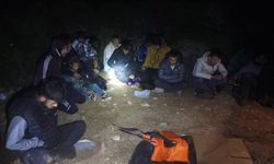 Makilik alana gizlenen 25 düzensiz göçmen yakalandı