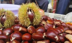 Erkenci kestane tezgahlarda