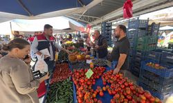 Didim'de zeytinyağı tezgahları denetlendi