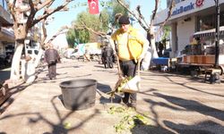 Büyükşehir İncirliova’da ağaçları budadı, vatandaşlar rahat bir nefes aldı