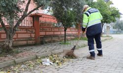 Nazilli’de temizlik atağı