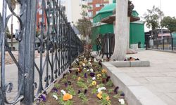 Nazilli Belediyesi’nden Ramazan öncesi türbelerde bakım ve temizlik çalışması