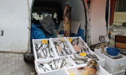 Kuraklık, barajlardaki balık popülasyonunu etkiledi