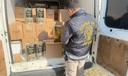 Aydın'da tağşiş yağ operasyonu