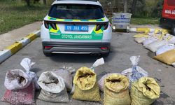Jandarma 1 ton 800 kilogram salyangoz ele geçirdi