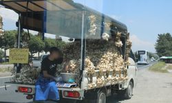Sarımsak satıcısının tehlikeli yolculuğu