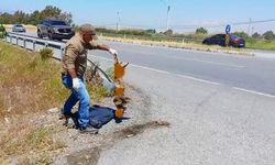 Başkan Sürücü: Çok nadir ve önemli bir türü daha kaybettik