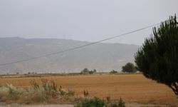 Bir zamanlar taşan Menderes şimdi suya hasret