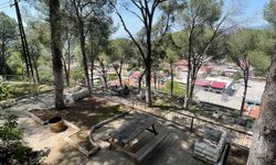 Başkan Ercan'dan 'piknik' daveti