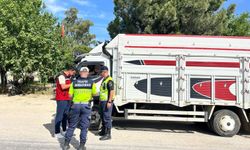 Eksik evrakla canlı hayvan taşıyan 2 kişi cezadan kaçamadı