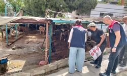 Aydın'da kurban satış ve kesim yerleri denetlendi