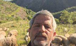 Aydın’da Yörüklerin yayla yolculuğu başladı