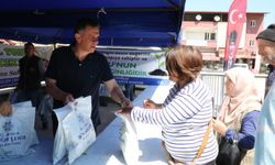 Aydın Büyükşehir Belediyesi’nden Yenipazar’da Ata Tohumu Fide Dağıtımı