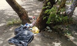 Nazilli’de Piknik Alanı Çöplüğe Döndü! Arazi sahibi duruma isyan etti