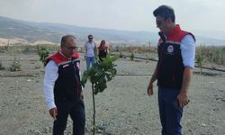 Aydın’da incir üretimine kalite katacak proje denetlendi