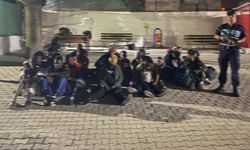 Zeytinlikteki 32 düzensiz göçmen yakalandı