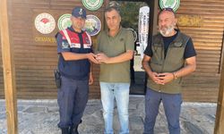 Yaralı halde bulunan baykuş, jandarma ekiplerince kurtarıldı