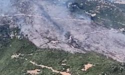 Sultanhisar yangınına müdahale sürüyor