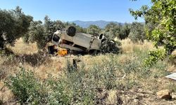 Ticari araç zeytinliğe uçtu: 1 ölü