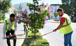 Büyükşehir’den bakım ve temizlik çalışması