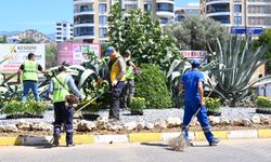 Aydın Büyükşehir’den Nazilli’de temizlik ve peyzaj çalışması