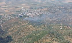 Zeytinlik yangını kontrol altına alındı