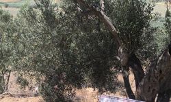 Kaçak kazı yapan 6 şüpheli suçüstü yakalandı
