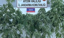 Jandarmadan uyuşturucu operasyonu: 16 gözaltı