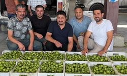 İlek Fiyatları Rekor Kırdı