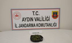 Aydın'da yol kenarına atılan poşetten uyuşturucu çıktı