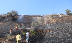 Alevler evlere ulaşmadan söndürüldü