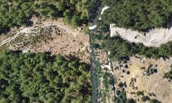 Orman yangınlarına karşı önleyici temizlik çalışması yapıldı
