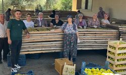 Nazillili genç girişimciden dünya pazarına incir cipsi