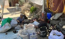 Güneş, emek ve lezzet.. Nazilli’de kuru patlıcan mesaisi başladı