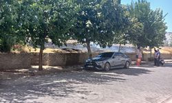 Tren yolu kenarında çıkan yangın araçlara sıçramadan söndürüldü