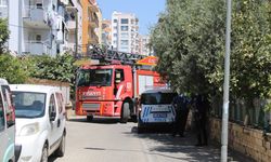 Sevimli kediyi kurtarmak için tüm ekipler seferber oldu, o kurtarılacağı anda atlayıp gitti