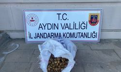 Bahçeden 50 kilo incir çalan şüpheliler jandarmadan kaçamadı