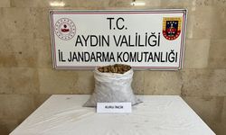 Motosikletli incir hırsızı jandarmadan kaçamadı
