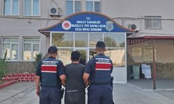 Bozdoğan’da uyuşturucu operasyonu: Ormanlık alanda kenevir yetiştirmiş