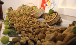 Aydın'da sezonun ilk kuru inciri 800 liradan satıldı