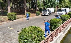 Başkan Çerçioğlu’ndan Nazilli’ye yeşil dokunuş