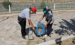 Nazilli Belediyesi’nden Dallıca Çayı’nda kapsamlı çalışma