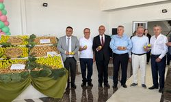 Nazilli’de yeni sezon kuru inciri 1000 TL’den alıcı buldu