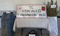 40 kök kenevir ele geçirildi