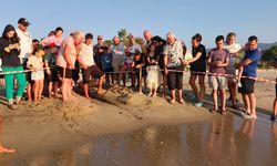 Caretta carettalar denizle buluştu